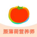 薄荷宝箱软件官方版 薄荷宝箱软件官方版