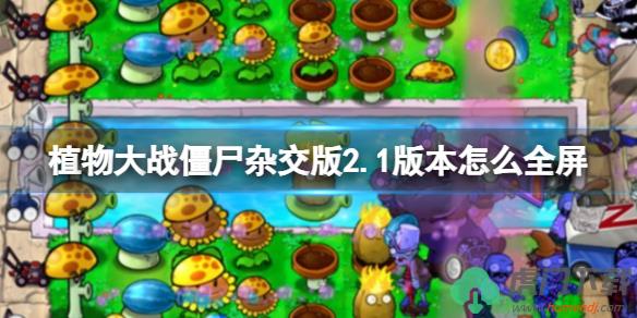 植物大战僵尸杂交版2.1版本怎么设置全屏