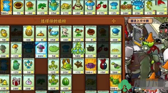 植物大战僵尸杂交版挑战模式第14关怎么玩_植物大战僵尸杂交版挑战模式第14关过关搭配