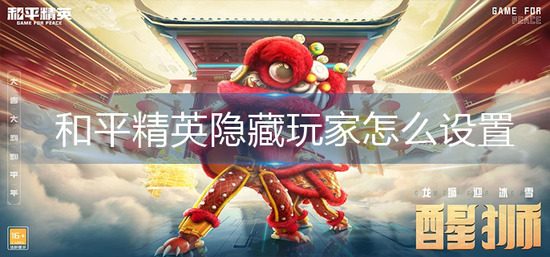 和平精英隐藏玩家怎么设置-和平精英隐藏玩家设置方法