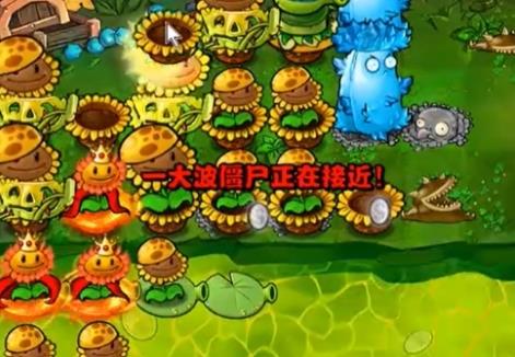 植物大战僵尸杂交版冒险模式第62关怎么过